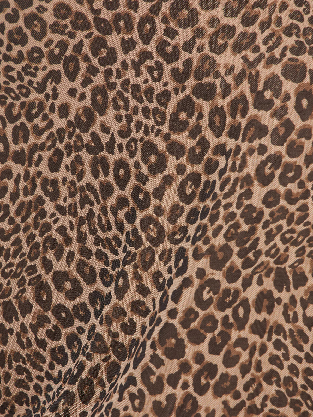 Sanctuary French Kitty Mesh Long Sleeve