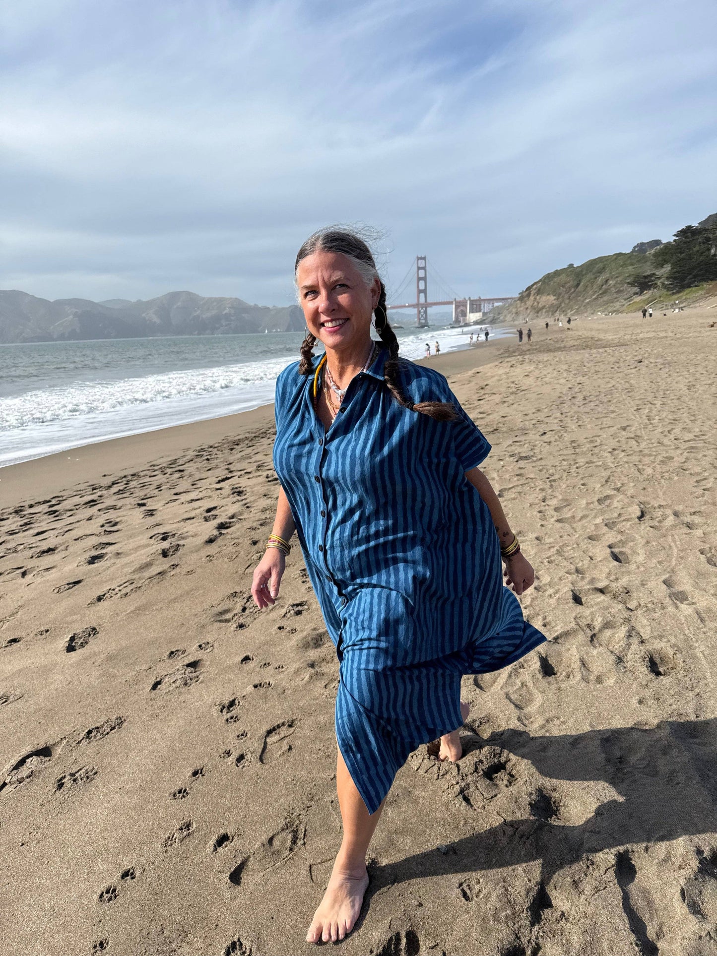 Elise Indigo Stripe Dress