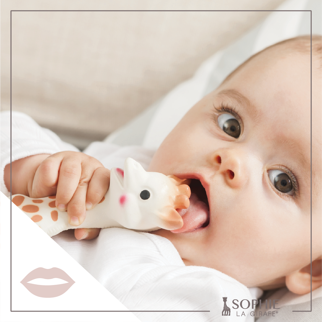 Baby | Sophie La Girafe Teether